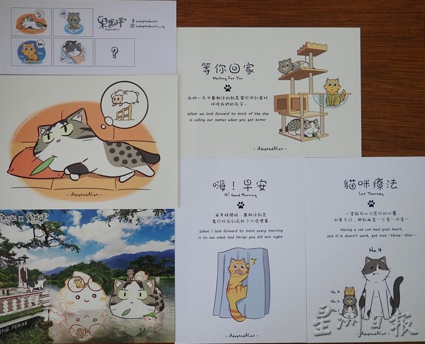 ★5月27日刊登【我家萌宠】/大霹雳封底主文//龙丽茔收治流浪猫 设基金助毛孩 夫妻养猫趣事融入漫画