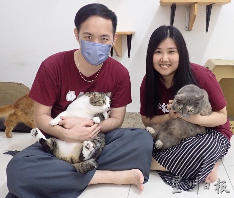 ★5月27日刊登【我家萌宠】/大霹雳封底主文//龙丽茔收治流浪猫 设基金助毛孩 夫妻养猫趣事融入漫画
