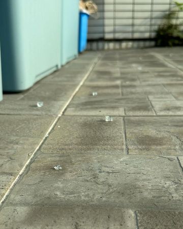 《东张西望》主持遭恶邻多度滋扰 高空掷玻璃碎怒报警