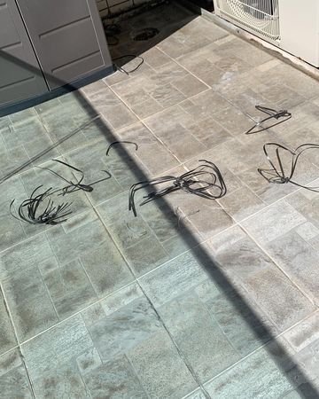 《东张西望》主持遭恶邻多度滋扰 高空掷玻璃碎怒报警