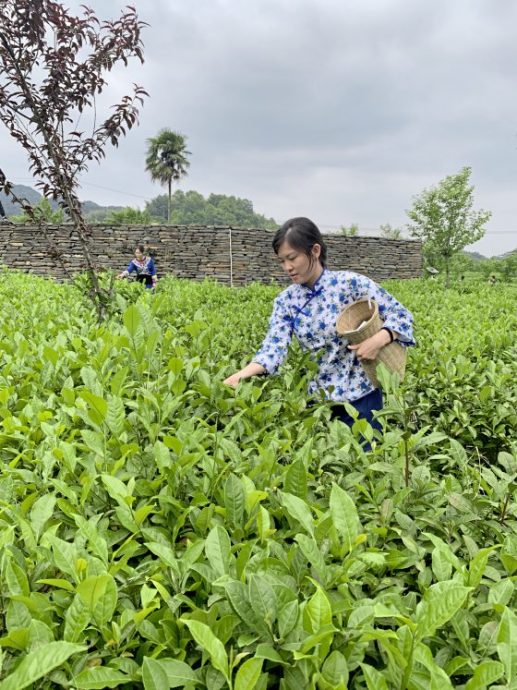 【中国】湖南怀化，美得让人心痛