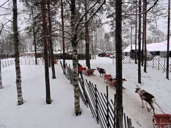 【北欧】北欧三国踏雪寻光