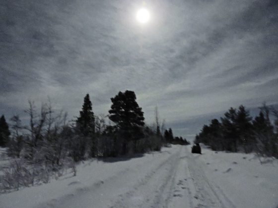 【北欧】北欧三国踏雪寻光