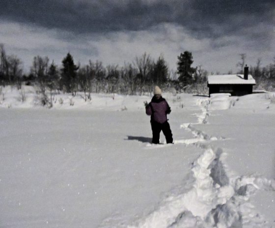 【北欧】北欧三国踏雪寻光