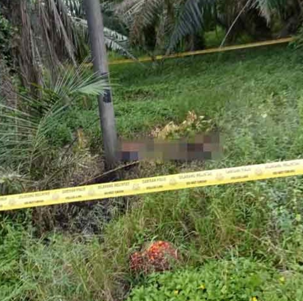 不满女友瞒孕4个月 20岁男友捅死她再烧尸