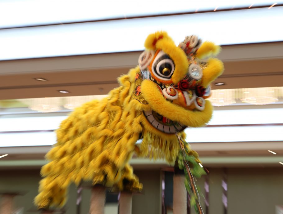 东02:关丹建造行国际高桩醒狮王邀请赛