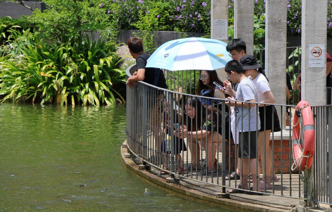 东:天气热