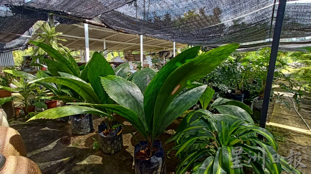 热浪来袭，花圃用水量倍增。