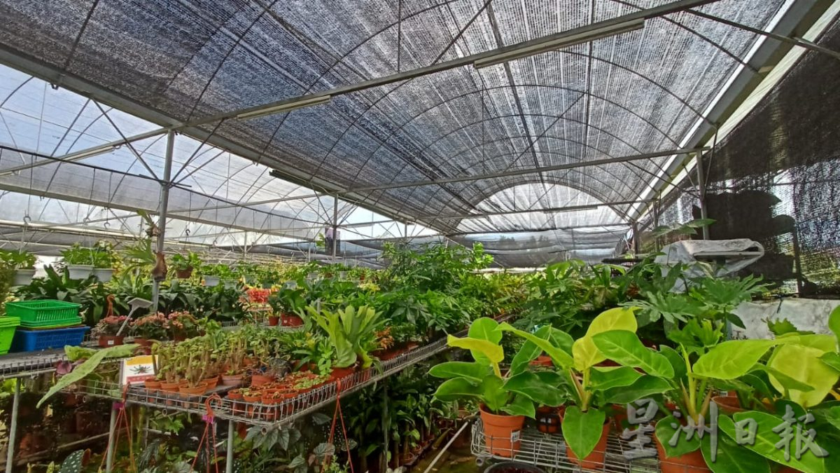 热浪来袭，花圃用水量倍增。