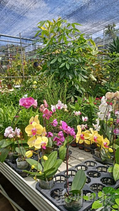 热浪来袭，花圃用水量倍增。