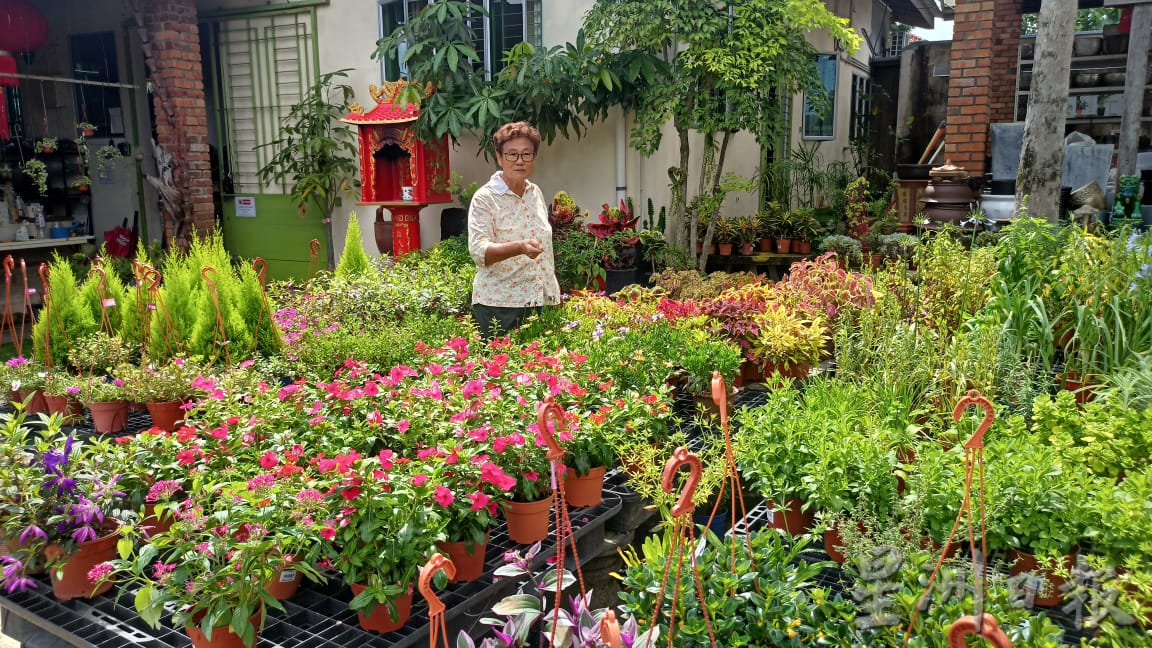 热浪来袭,花圃用水量倍增。