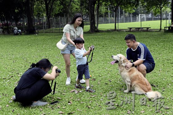 为老宠物义拍全家福，留下珍贵的回忆