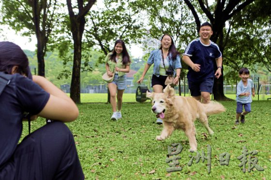 为老宠物义拍全家福，留下珍贵的回忆