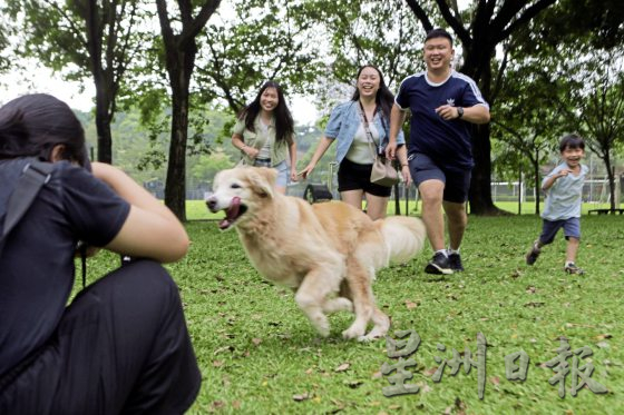 为老宠物义拍全家福，留下珍贵的回忆
