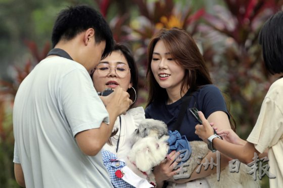 为老宠物义拍全家福，留下珍贵的回忆