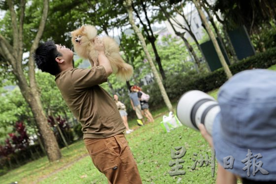 为老宠物义拍全家福，留下珍贵的回忆