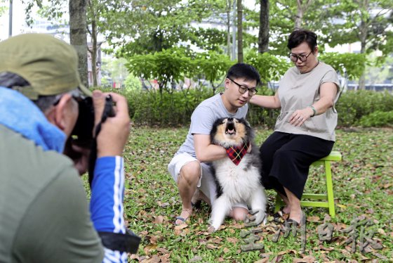 为老宠物义拍全家福，留下珍贵的回忆