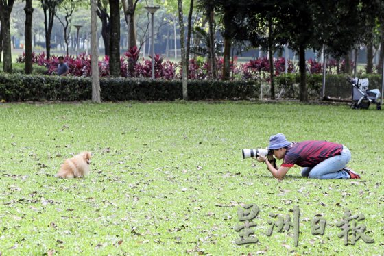 为老宠物义拍全家福，留下珍贵的回忆