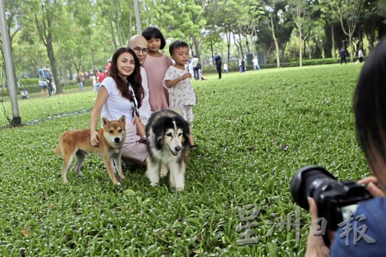 为老宠物义拍全家福，留下珍贵的回忆