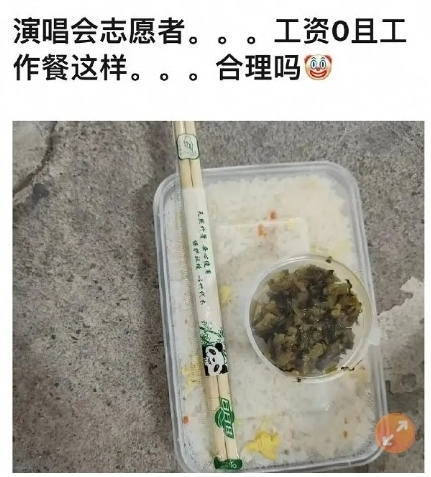 五月天个唱志工晒酸菜便当　 怒轰“打发叫化子！”