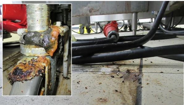 伦敦一麦当劳被投诉汉堡藏“老鼠屎” 一查厨房更恐怖 遭罚款266万