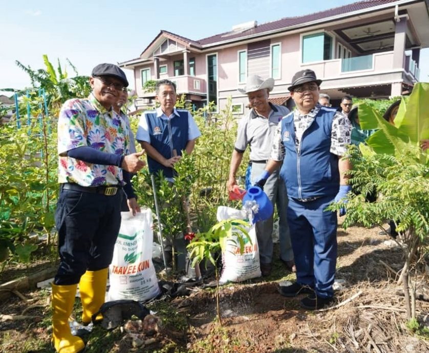 全国社区菜园一半已商业化 一年内可取逾1万令吉收入
