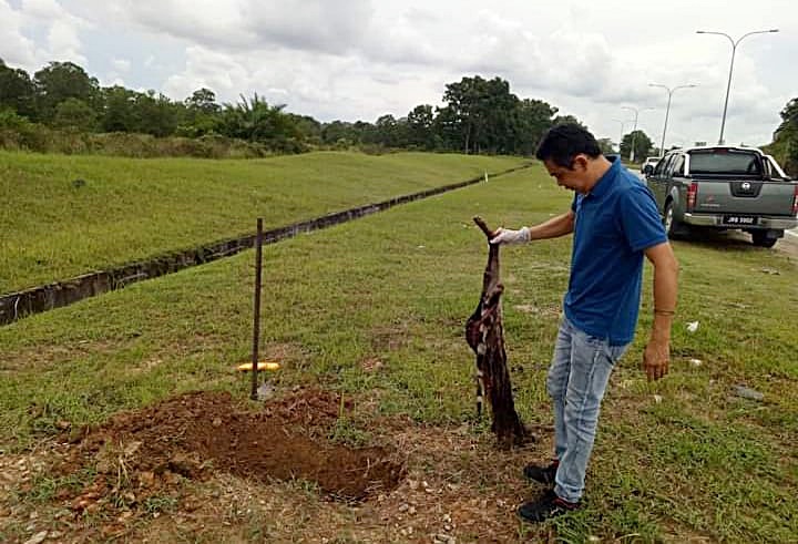 装修商发心处理路边动物尸:“希望大家开车慢一点”