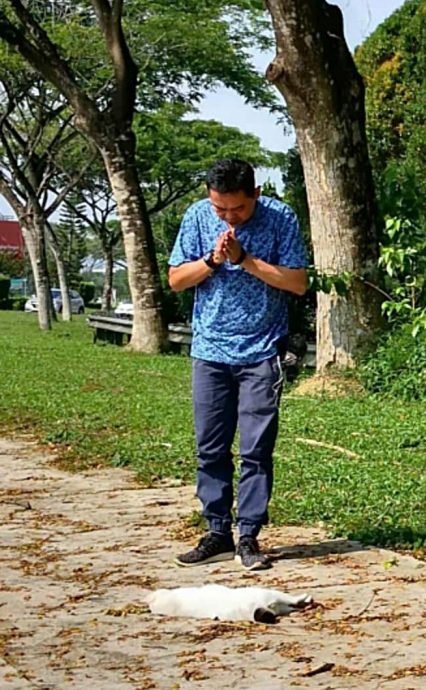 装修商发心处理路边动物尸:“希望大家开车慢一点”