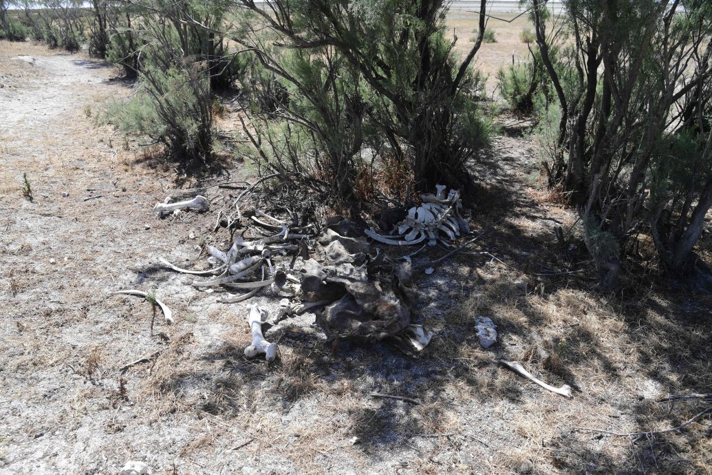 全球暖化所致!新研究:世界上超过一半大型湖泊正在乾涸