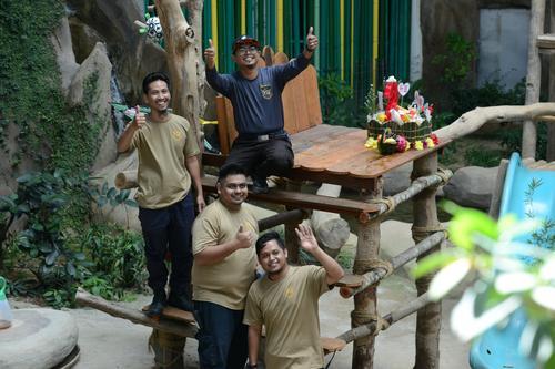 动物园送特制“冰蛋糕”庆生 熊猫宝宝升谊两岁了!