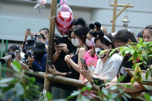 动物园送特制“冰蛋糕”庆生 熊猫宝宝升谊两岁了!