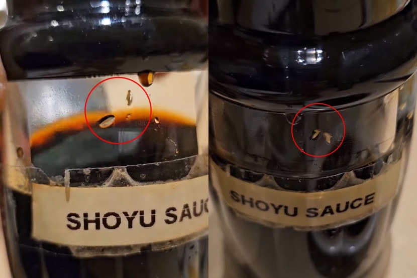 吃完寿司惊见酱油有蛆虫 男子肚泻到天明