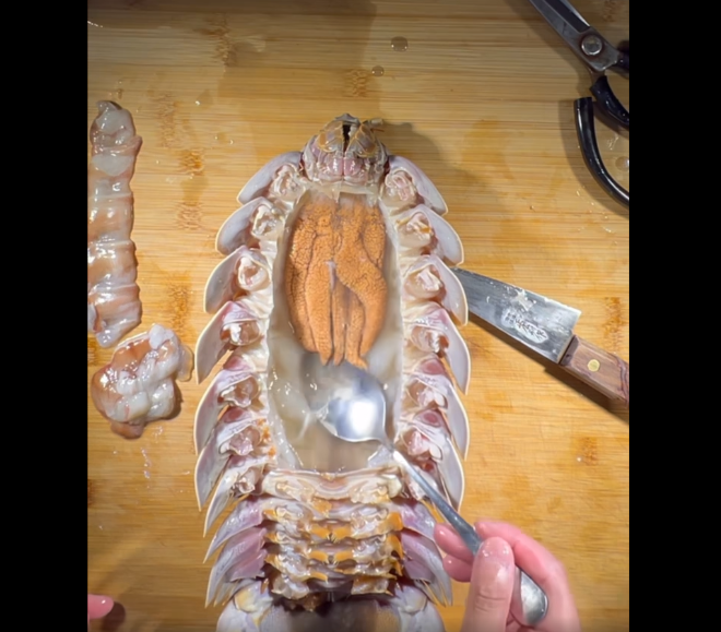 味道如何?大王具足虫料理纷出现 网友看傻:想吃真的要勇气