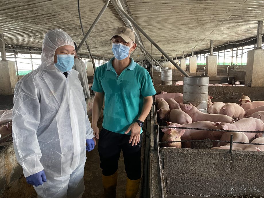 夜报封面∕已签发∕陈泓缣