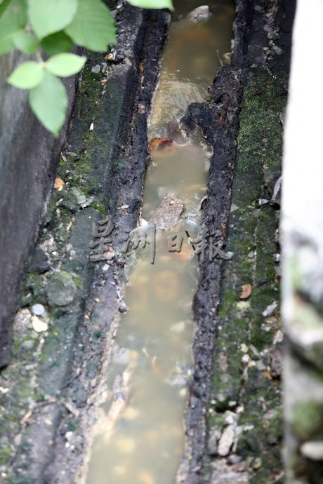 首邦市沟渠卫生问题/6图
