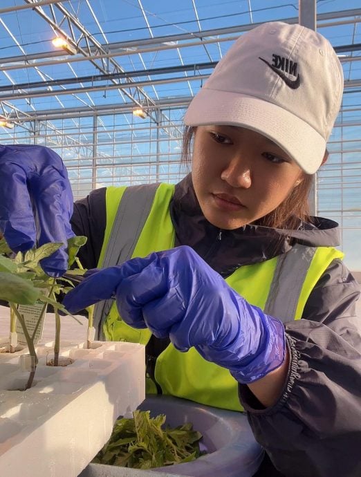 大都会(21/5)有故事的人:律师到纽西兰打工,跟着心走,累了就休息