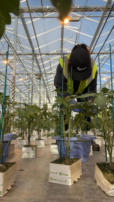 大都会(21/5)有故事的人:律师到纽西兰打工,跟着心走,累了就休息