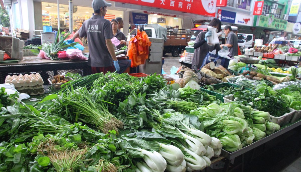 大都会/访菜价/7图