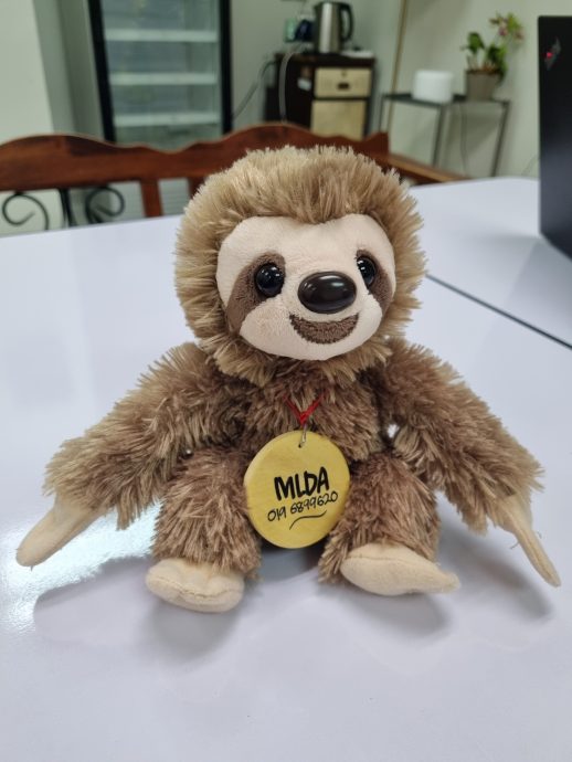  奇门罕馆/溶酶体疾病协会/10图