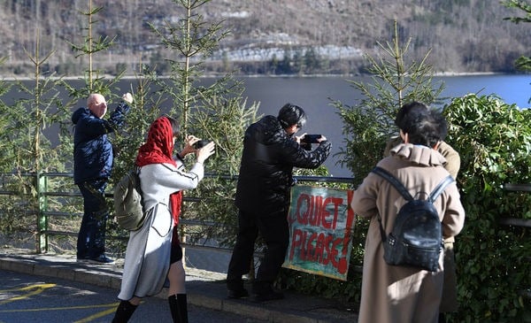 居民受不了! 奥地利“世界最美小镇”架木板挡游客