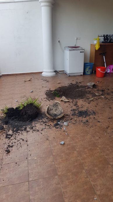 **已签发**柔:男子用老家地址向大耳窿借贷,母亲不堪骚扰抱病离世,妹宣布脱离关系