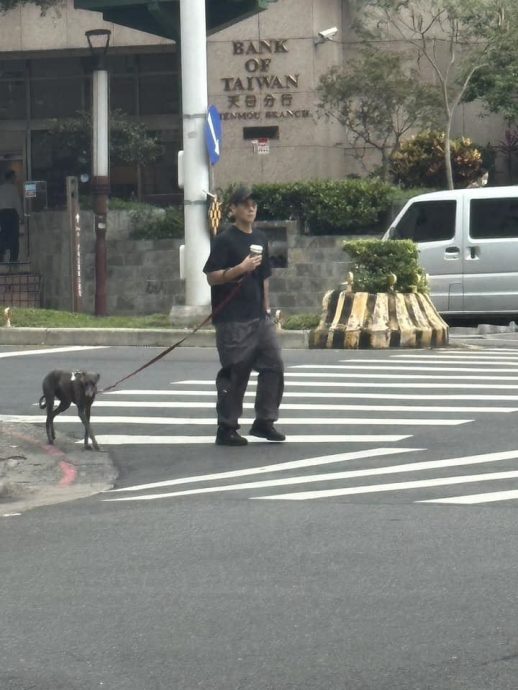 彭于晏上街遛狗 1举动获赞好邻居