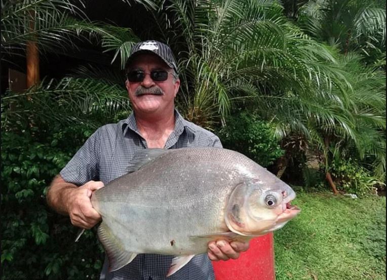 拚图已签)钓鱼酿悲剧…澳洲男子一阵大叫后失踪 2天后在大鳄鱼胃里发现遗体