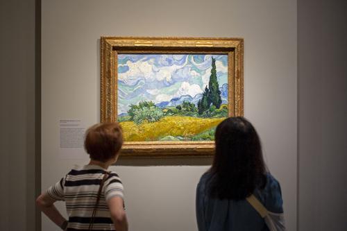 拼盘 每日一展/《梵高的柏树》展览在纽约大都会艺术博物馆亮相
