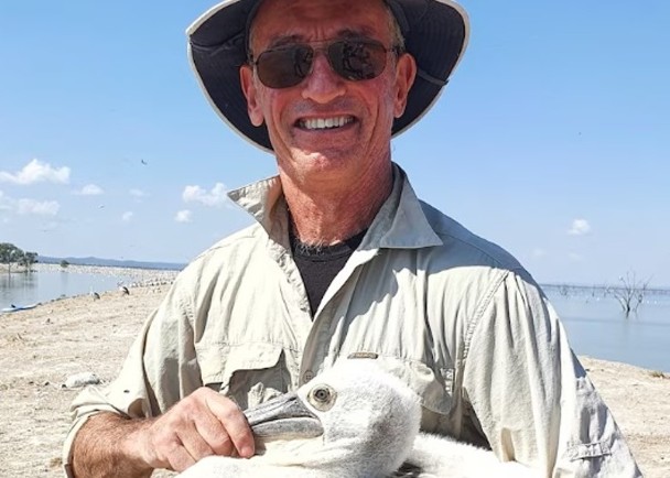 拼盘／鹈鹕数量增长　新省扩展追纵项目