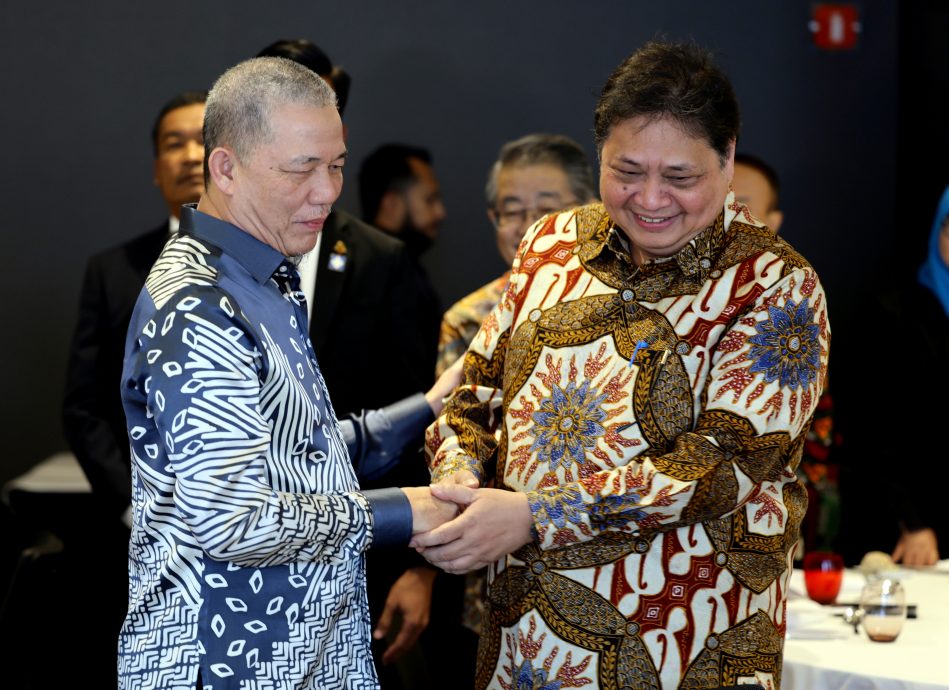 探讨欧盟零毁林法规会谈·法迪拉:将取得丰硕成果