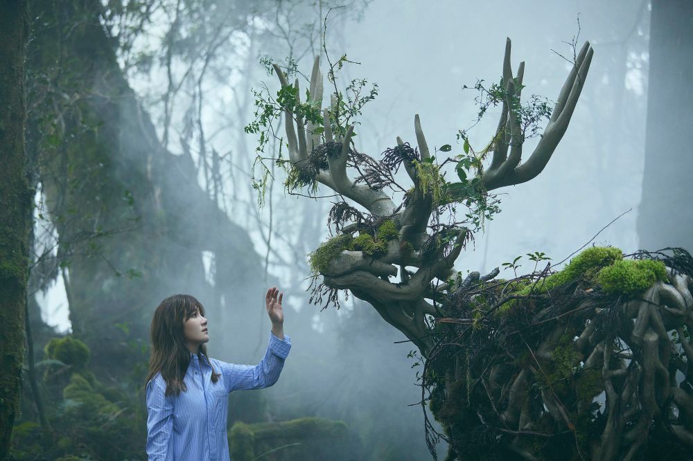 新歌MV山林雨中取景 梁静茹穿3层发热衣