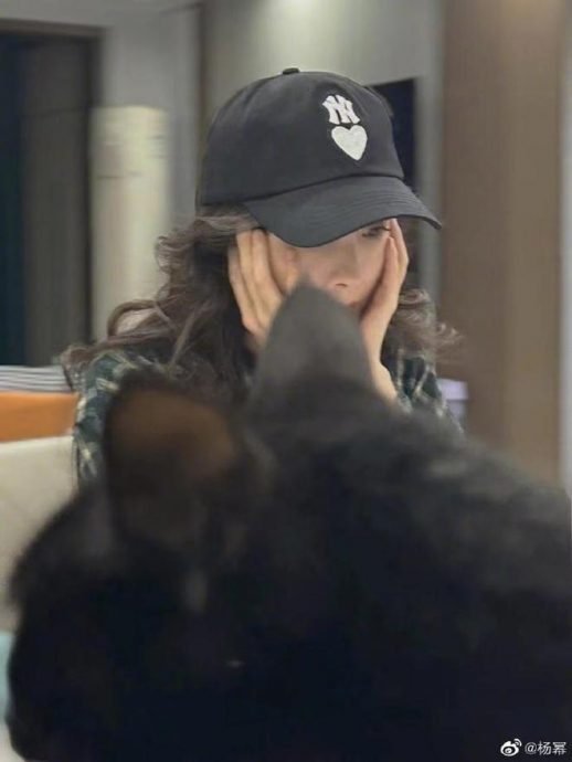 时尚芭莎派对|杨幂没来上了热搜 李晓峰评论区沦陷