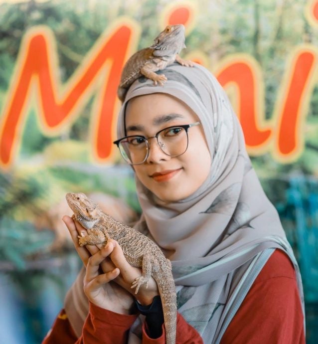 女生开设移动式动物园展出珍奇动物