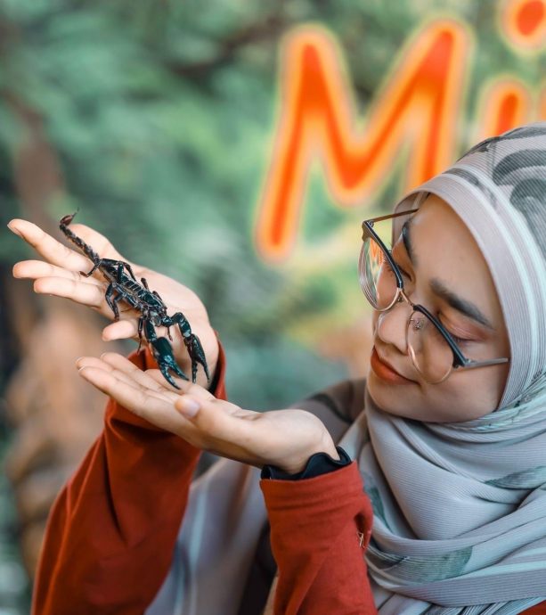 女生开设移动式动物园展出珍奇动物